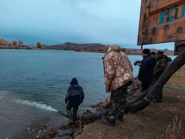 Усть-Каменогорская ГЭС и Шульбинская ГЭС провели экологические акции по зарыблению Иртыша